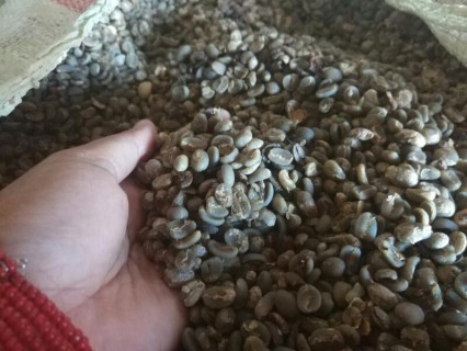  Hutanta Coffee – Dari Tanah Toba untuk Dunia