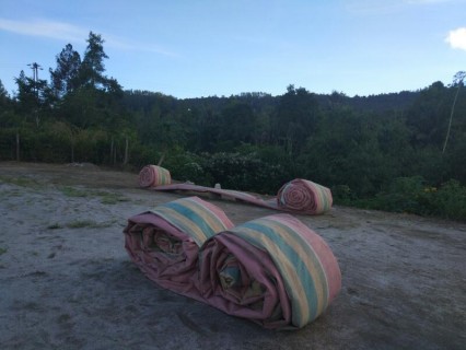  Hutanta Coffee – Dari Tanah Toba untuk Dunia