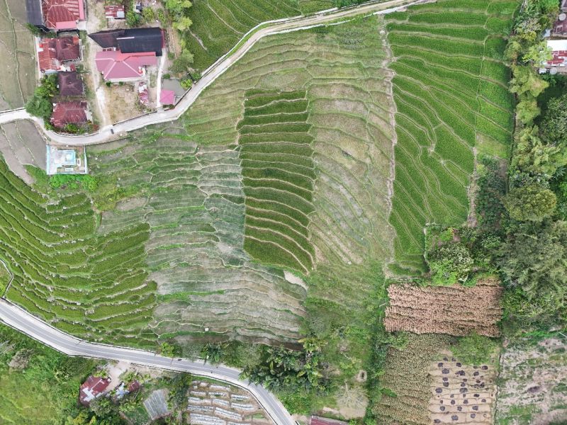  Tarabunga Hill Villa – Agri-Villa Futuristik di Atas Sawah Pertama di Toba