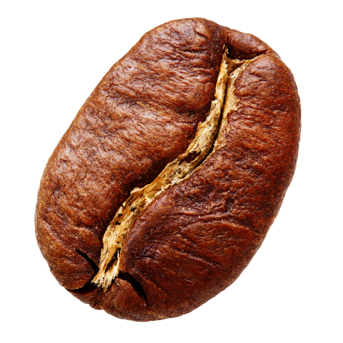 Menggunakan full arabica