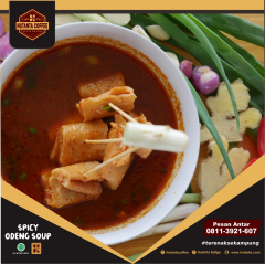 Spicy Odeng Soup